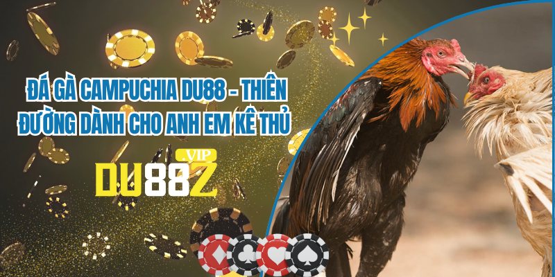 Đá Gà Campuchia - Sân Chơi Quy Tụ Những Chiến Kê Top Đầu