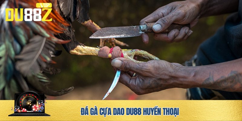 Trải nghiệm huyền thoại đá gà cựa dao DU88