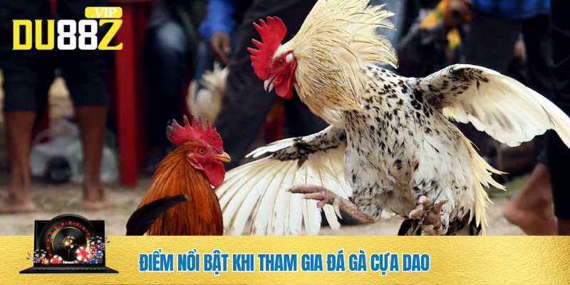 Ưu điểm của đá gà cựa dao DU88