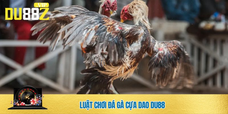 Tìm hiểu luật chơi đá gà cựa dao DU88