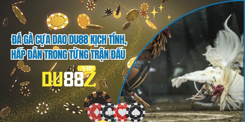 Đá Gà Cựa Dao DU88 Kịch Tính, Hấp Dẫn Trong Từng Trận Đấu