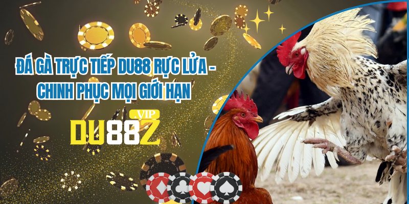 Đá Gà Trực Tiếp DU88 Rực Lửa - Chinh Phục Mọi Giới Hạn